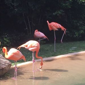 Meet your Posher, Robbin